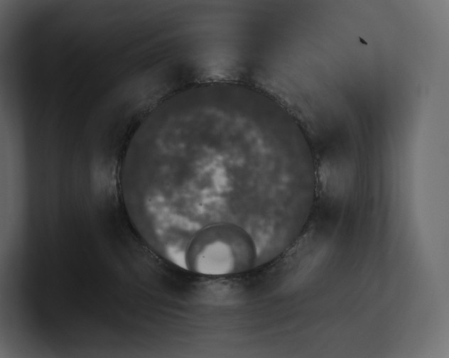 X0000100890423200807151101