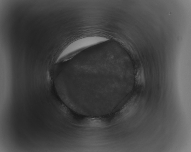 X0000100890424200807151101