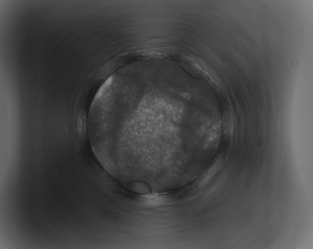 X0000100890425200807151101