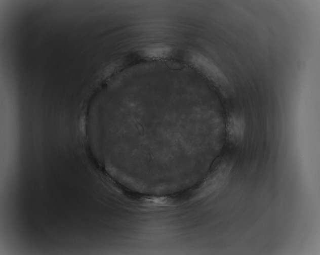 X0000100890428200807151101