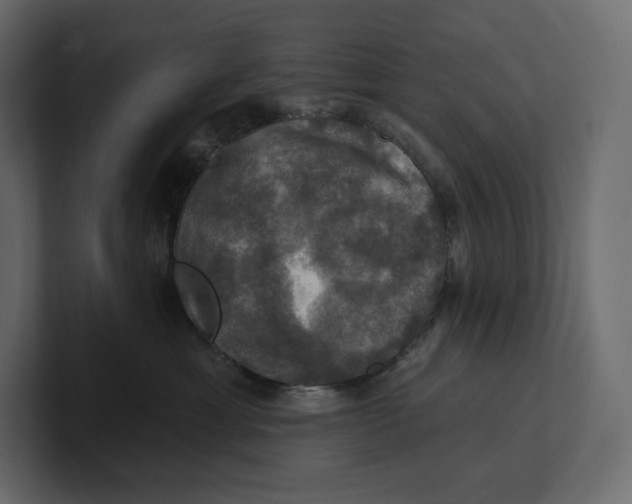 X0000100890429200807151101