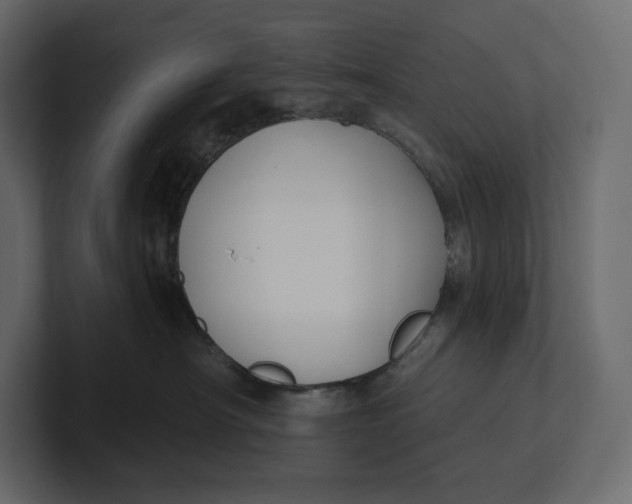 X0000100890430200807151101