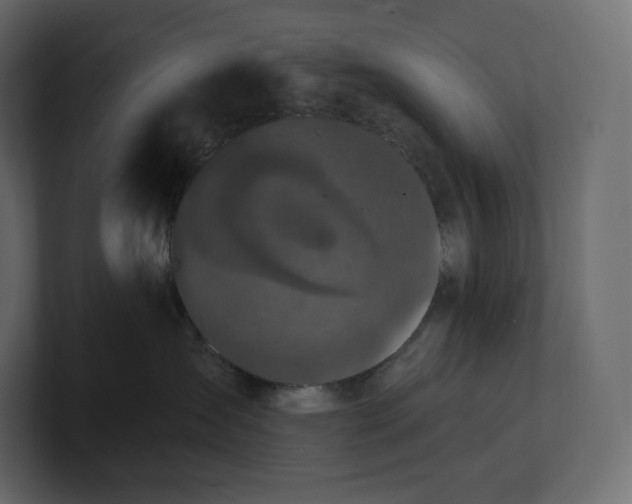 X0000100890431200807151101