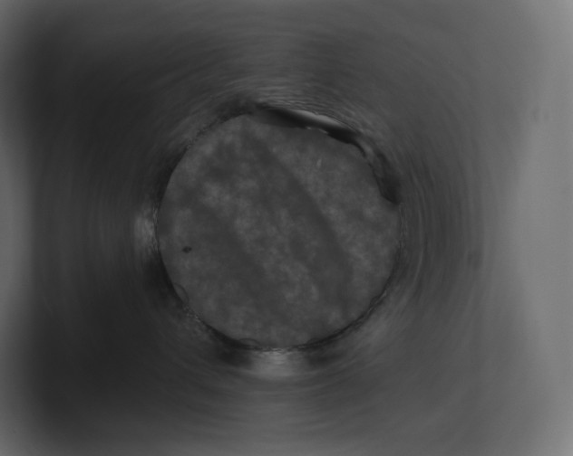 X0000100890432200807151101