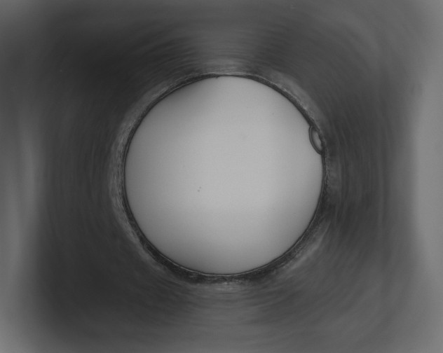 X0000100890433200807151100