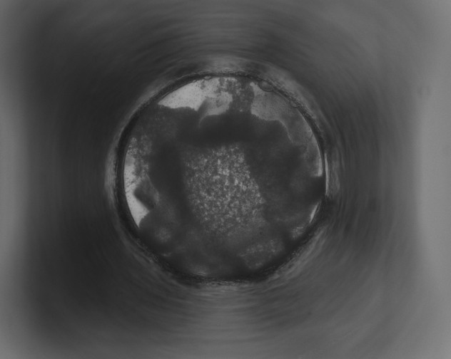 X0000100890435200807151100