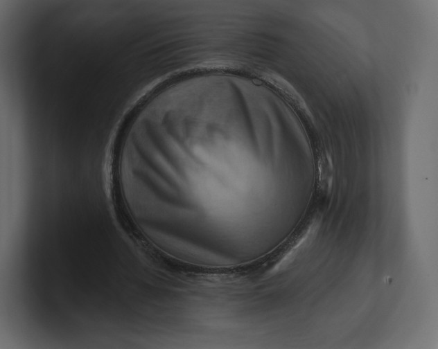 X0000100890436200807151100