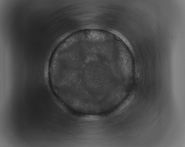 X0000100890437200807151100