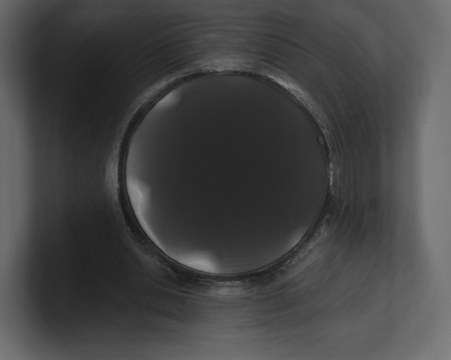 X0000100890438200807151100