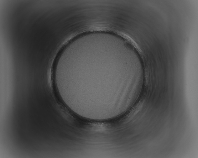 X0000100890439200807151100