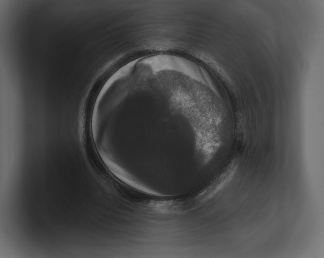 X0000100890440200807151100