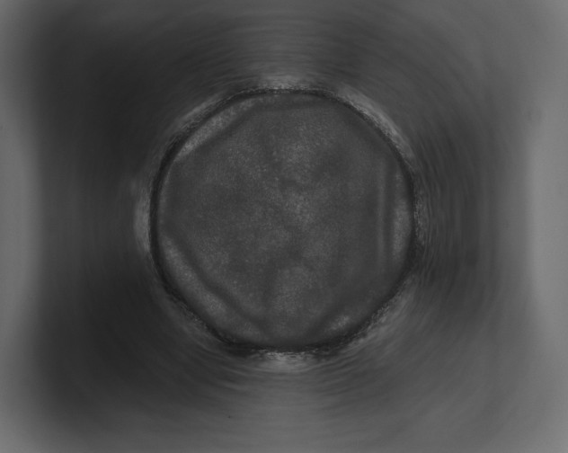 X0000100890442200807151100