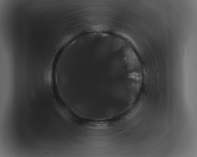 X0000100890443200807151100