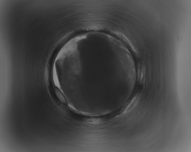 X0000100890444200807151100