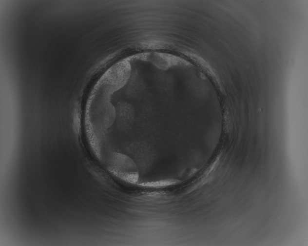 X0000100890446200807151100