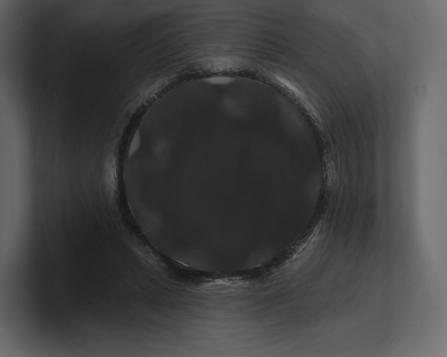 X0000100890447200807151100