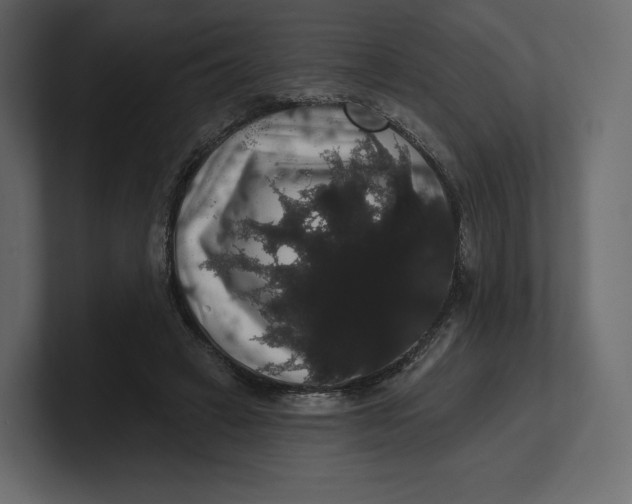 X0000100890449200807151100