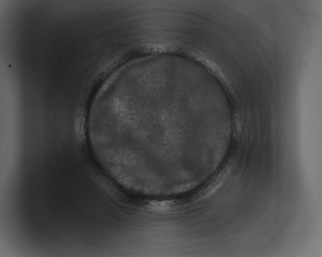 X0000100890450200807151100