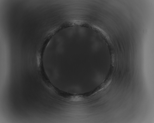 X0000100890451200807151100