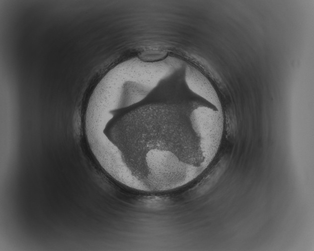 X0000100890453200807151100