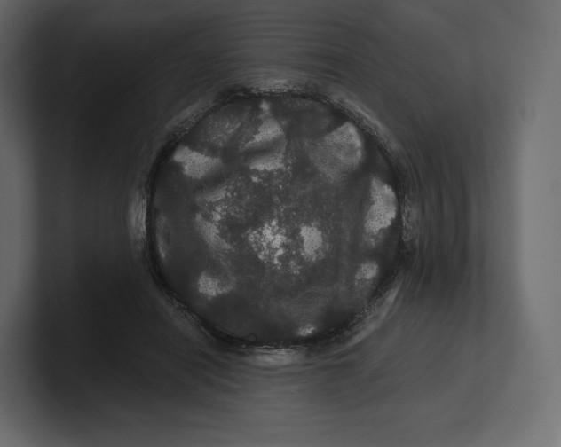 X0000100890454200807151100