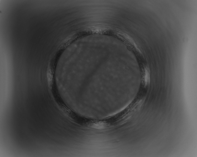 X0000100890456200807151100