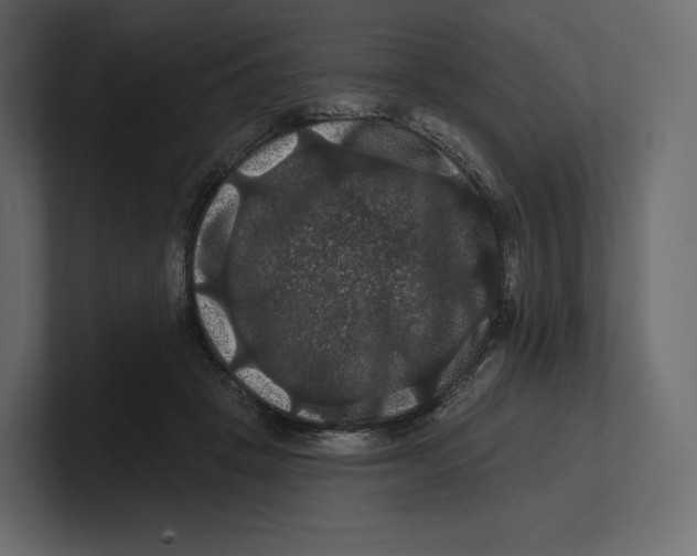 X0000100890457200807151100