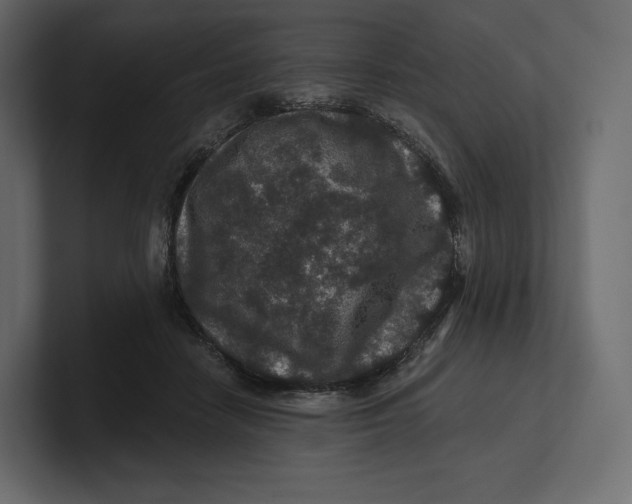 X0000100890458200807151100