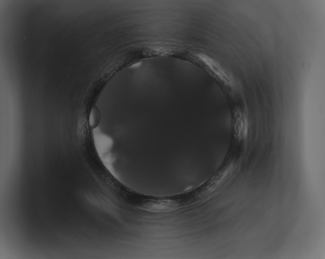 X0000100890459200807151100