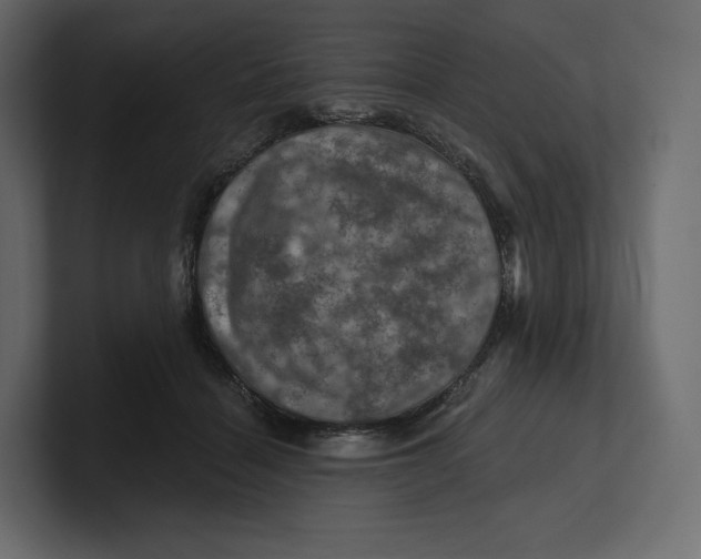 X0000100890460200807151100