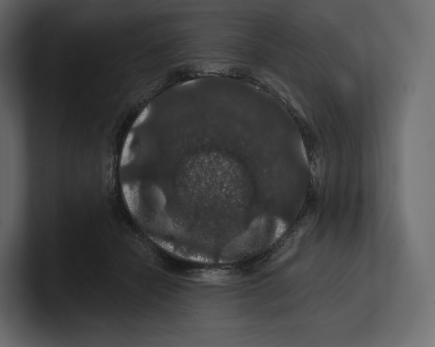 X0000100890462200807151100