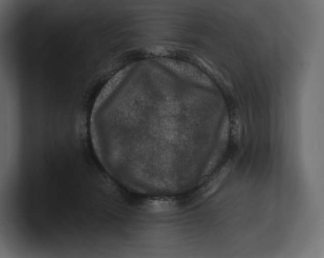 X0000100890466200807151100