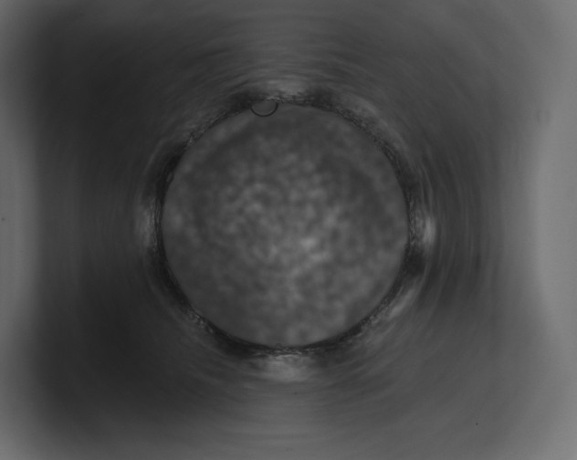 X0000100890468200807151100