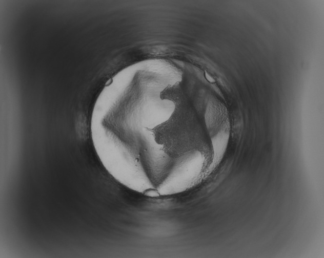 X0000100890469200807151100