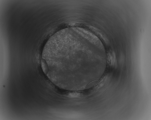 X0000100890470200807151100