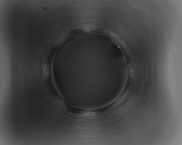 X0000100890471200807151100