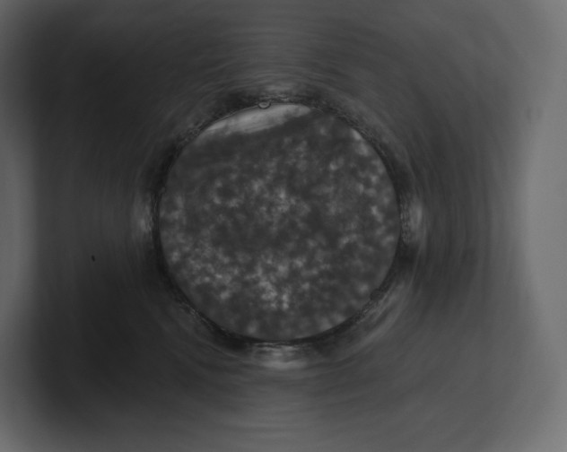 X0000100890472200807151100