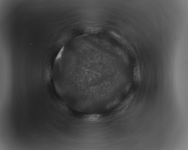 X0000100890474200807151101