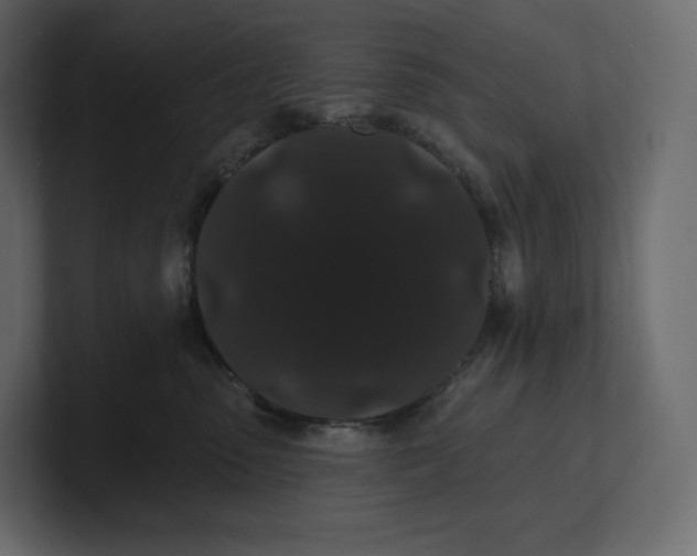 X0000100890475200807151101