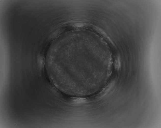 X0000100890476200807151101