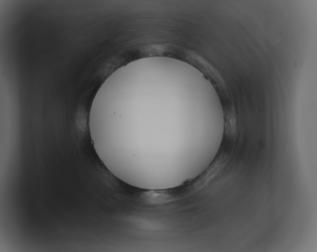 X0000100890477200807151101