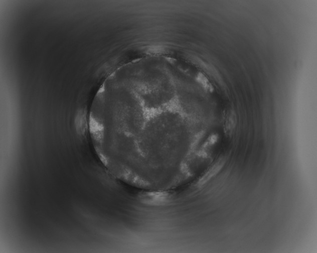 X0000100890478200807151101