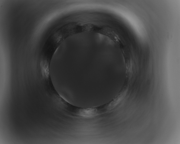 X0000100890479200807151101