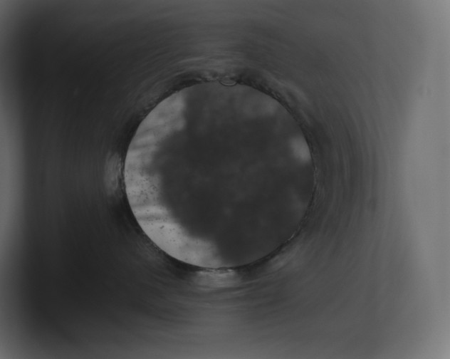 X0000100890480200807151101