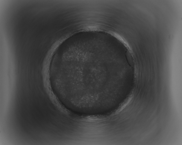 X0000100890481200807151100