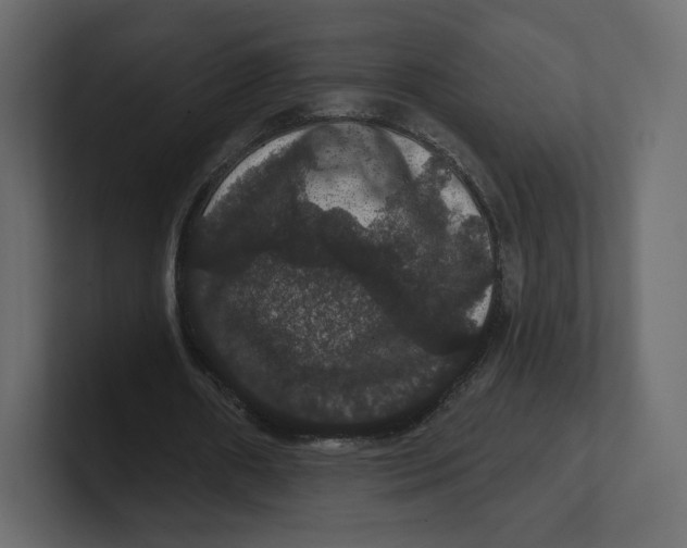 X0000100890482200807151100