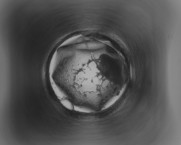 X0000100890483200807151100