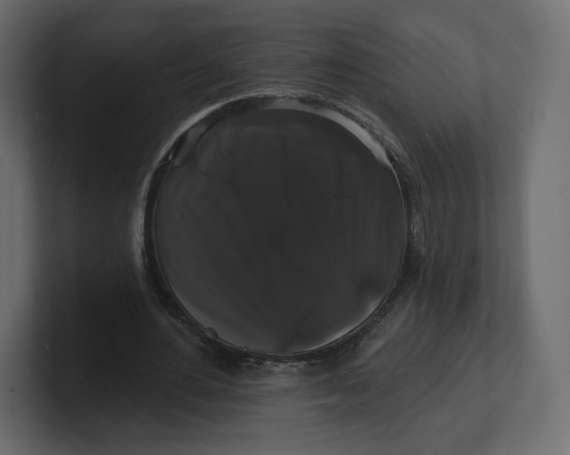 X0000100890484200807151100