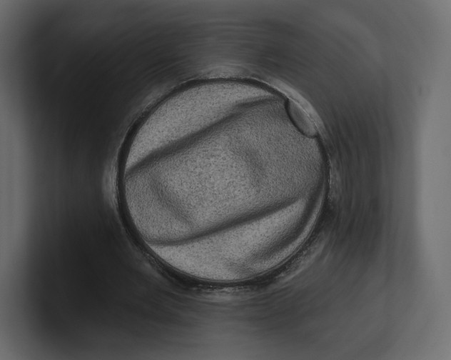 X0000100890485200807151100