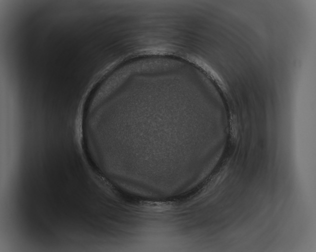 X0000100890486200807151100